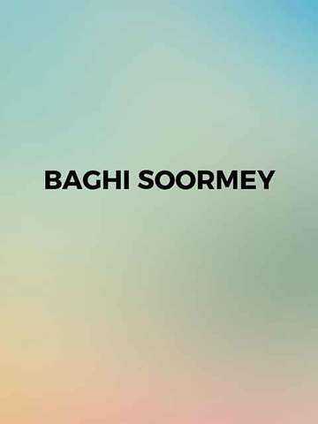 Baghi Soormey