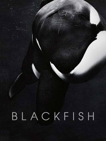 Blackfish