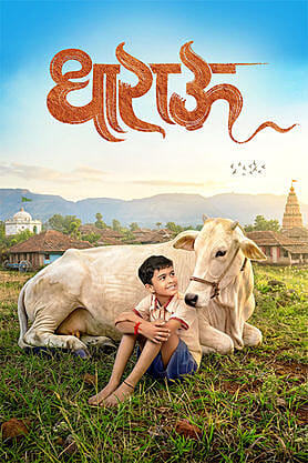 Dharau