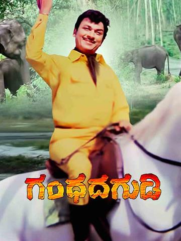 Gandhada Gudi (1973)