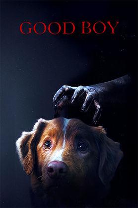 Good Boy (2025)