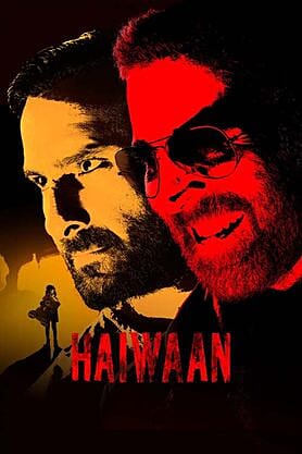 Haiwaan