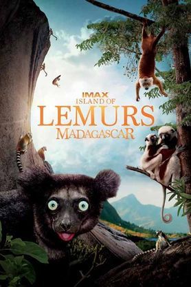Island of Lemurs: Madagascar (3D)(IMAX)