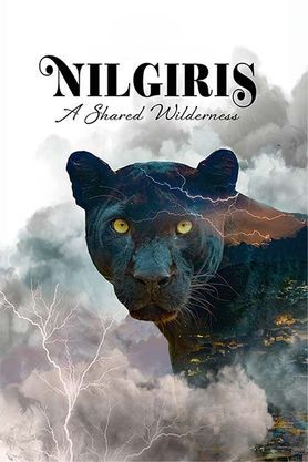 Nilgiris: A Shared Wilderness