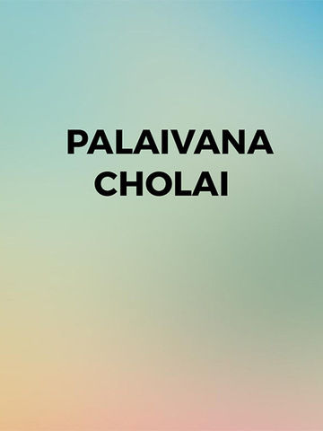 Palaivana Cholai