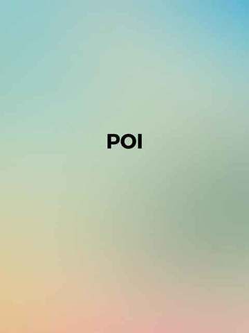 Poi(2006)