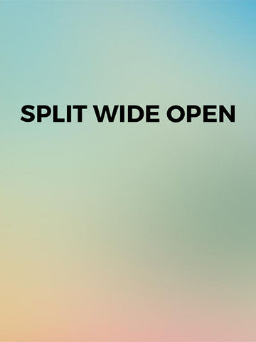 Split Wide Open