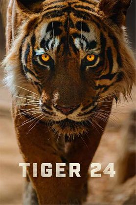 Bengal Tiger, Cast & Crew, News, Galleries, Movie Posters