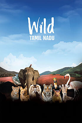 Wild Tamil Nadu