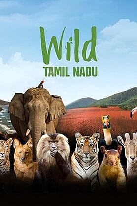 Wild Tamil Nadu
