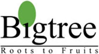 BigTree Logo