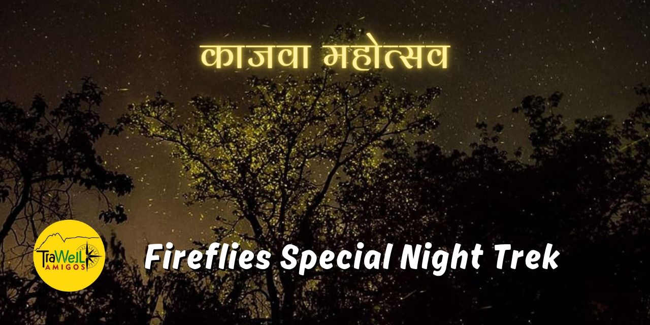 media-desktop-fireflies-spl-trek-to-prabalmachi-trawell-amigos-2026-3-25-t-4-47-51.jpg