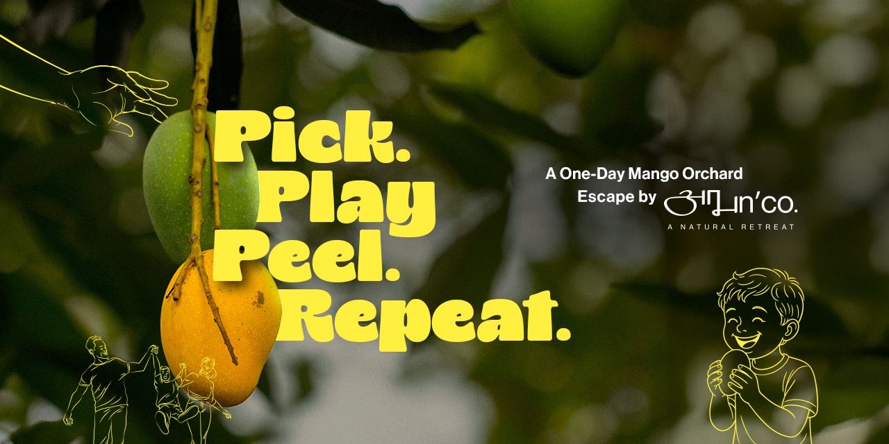 media-desktop-pick-play-peel-repeat-one-day-orchard-escape-2025-5-26-t-7-54-31.jpg