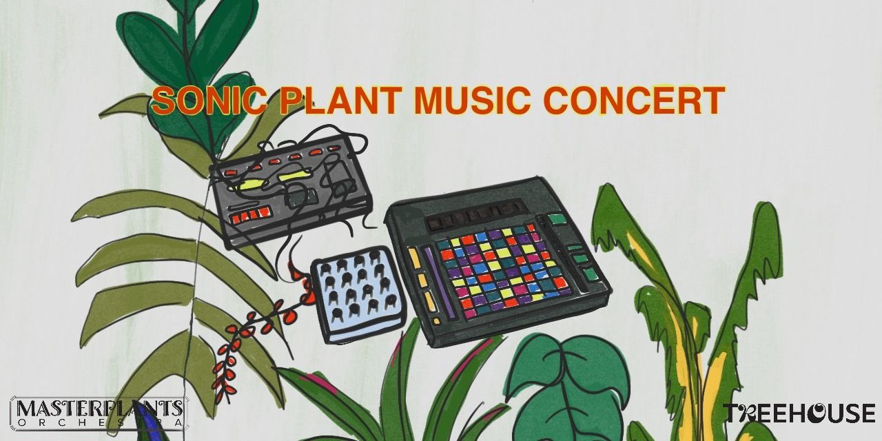 media-desktop-plant-music-concert-2025-8-17-t-13-22-21.jpg