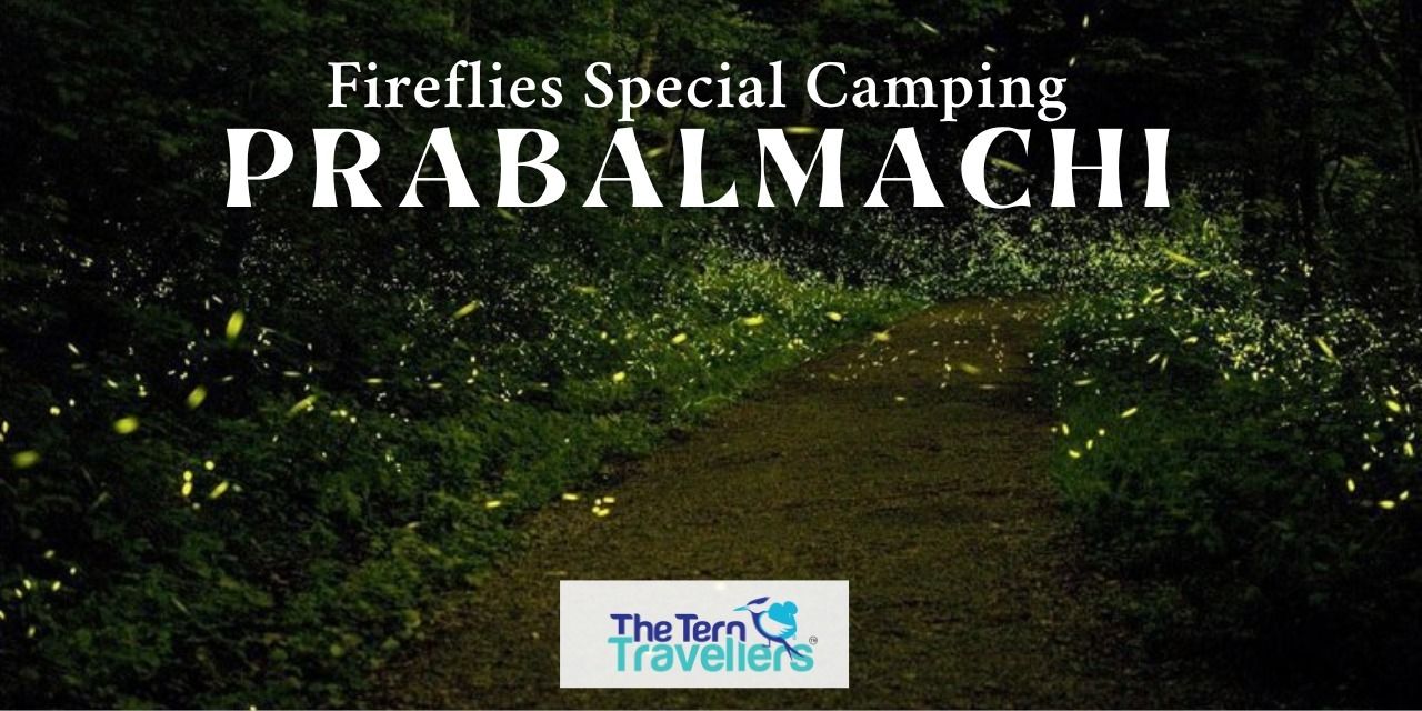media-desktop-prabalmachi-fireflies-festival-camping-2025-5-9-t-10-24-36.jpg