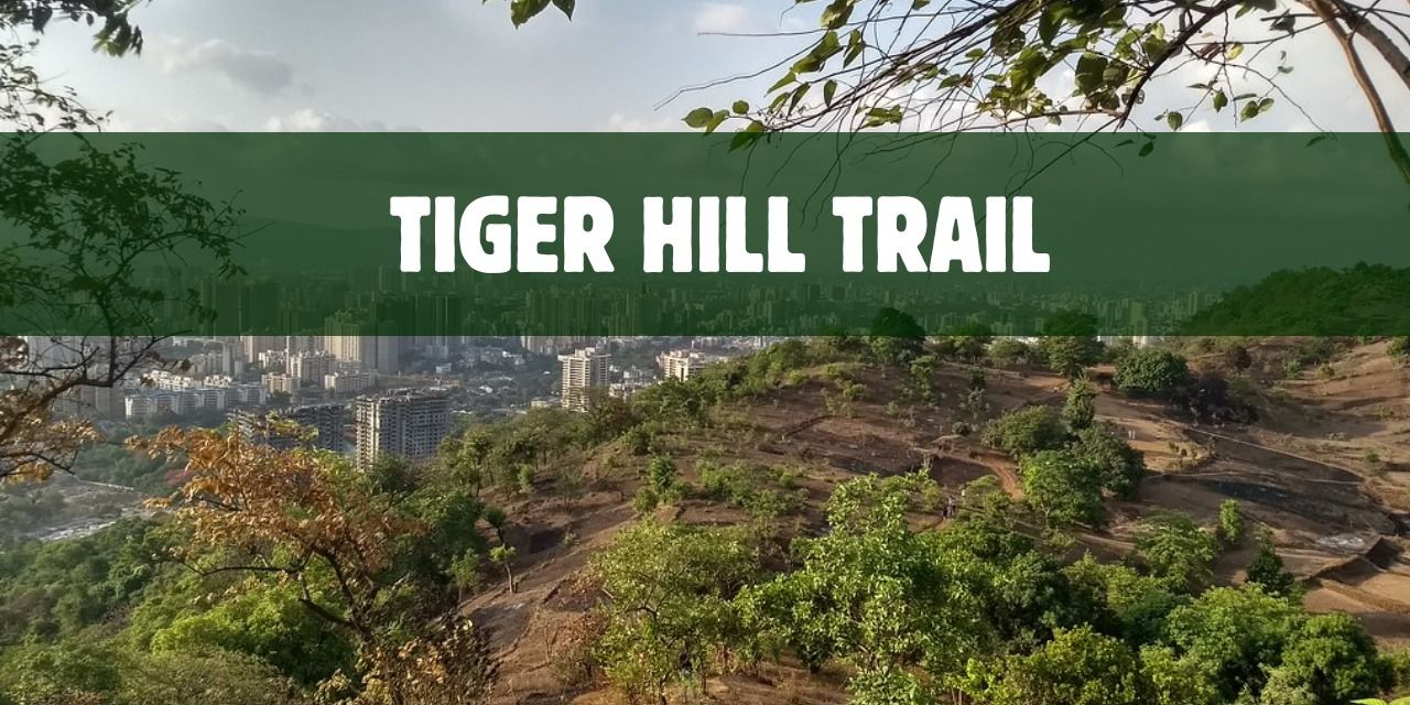 media-desktop-tiger-hills-trail-sgnp-thane-w--2026-4-7-t-4-6-9.jpg