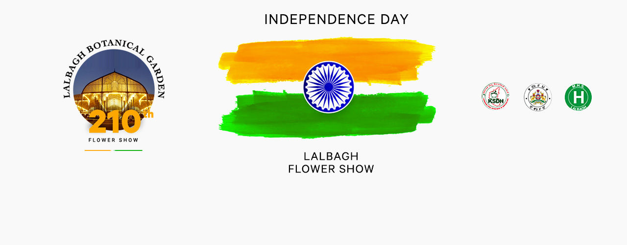 media-desktop-210th-independence-day-flower-show-2019-7-31-t-18-53-39.jpg