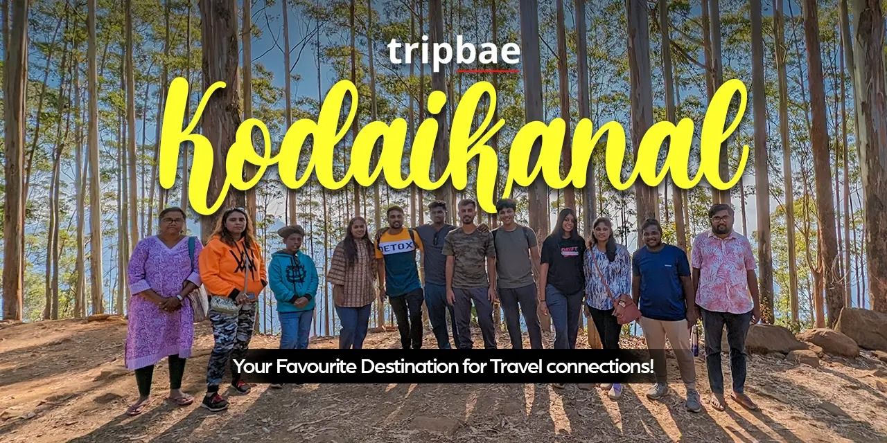 media-desktop-3-day-kodaikanal-backpacking-trip-by-tripbae-0-2024-8-8-t-8-51-27.jpg