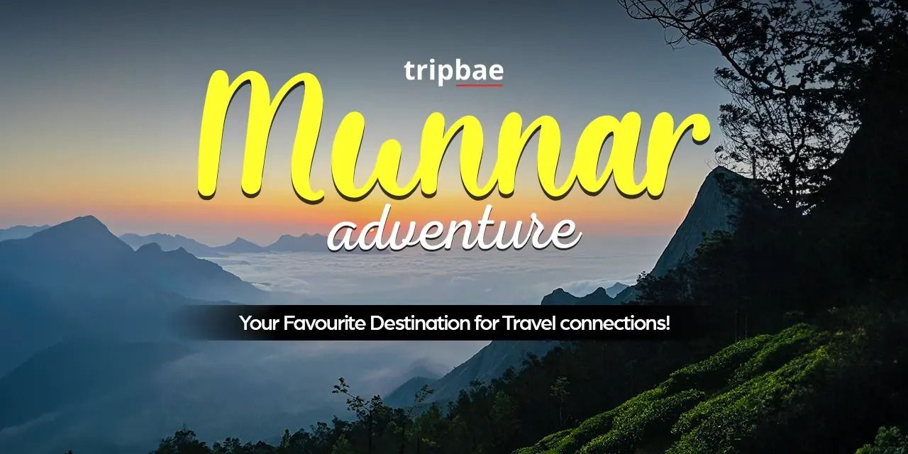 media-desktop-3-day-munnar-backpacking-trip-by-tripbae-0-2024-8-8-t-6-13-55.jpg