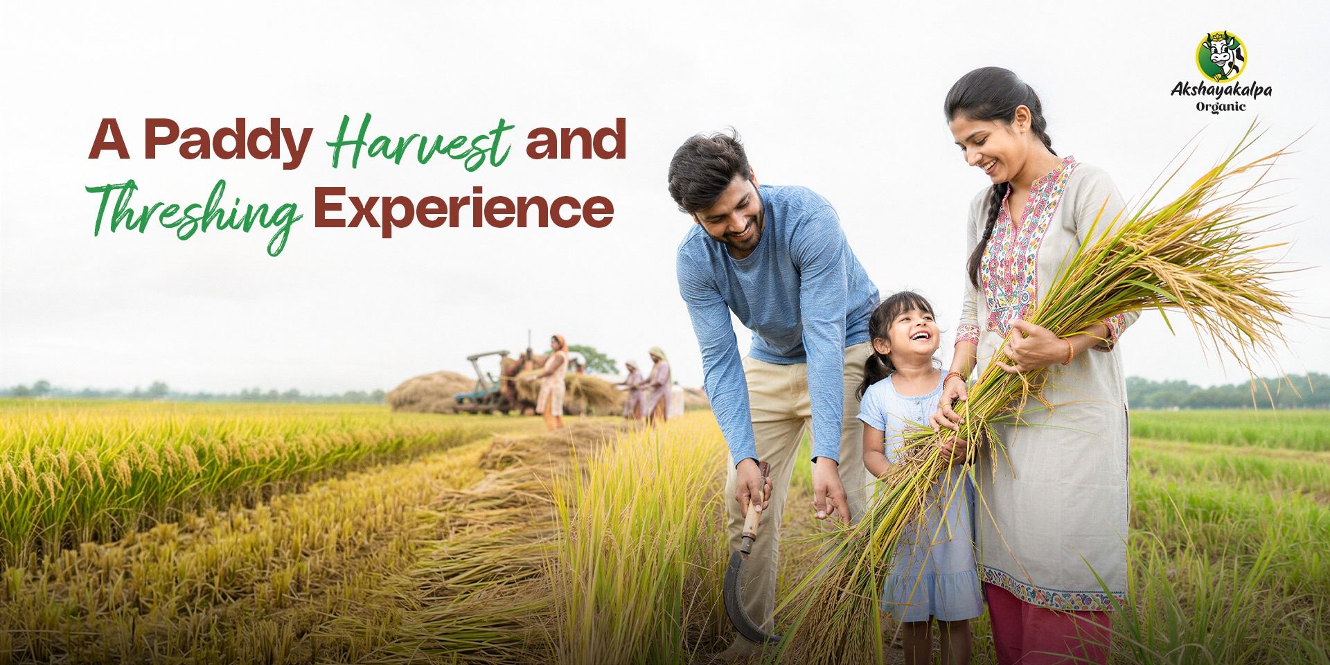 media-desktop-a-paddy-harvest-and-thrashing-experience-0-2026-5-13-t-6-24-17.jpg
