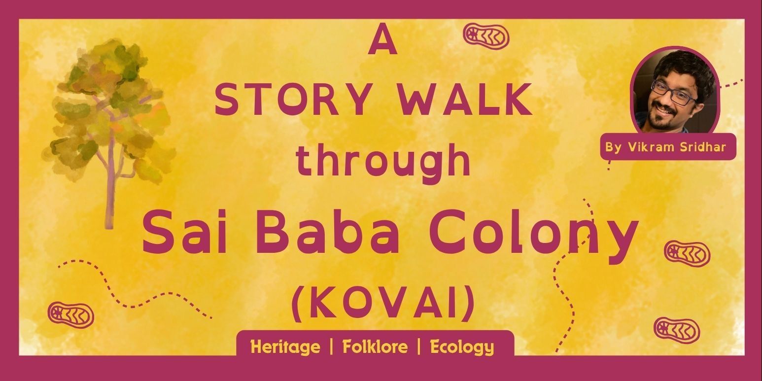 media-desktop-a-story-walk-through-sai-baba-colony-coimbatore-0-2026-4-7-t-14-4-41.jpg