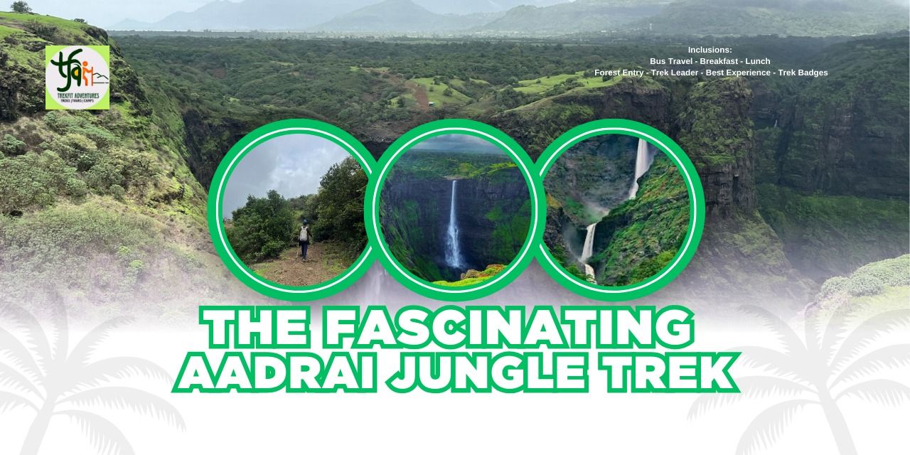 media-desktop-aadrai-jungle-trek-0-2024-7-18-t-8-6-2.jpg