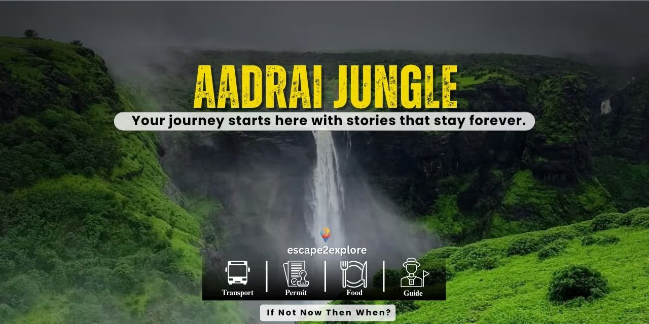 media-desktop-aadrai-jungle-trek-0-2026-8-7-t-16-55-38.jpg