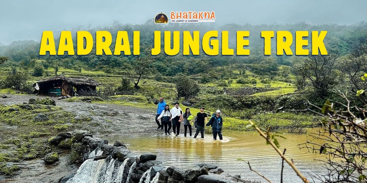 media-desktop-aadrai-jungle-trek-bhatakna-0-2024-7-2-t-11-39-27.jpg