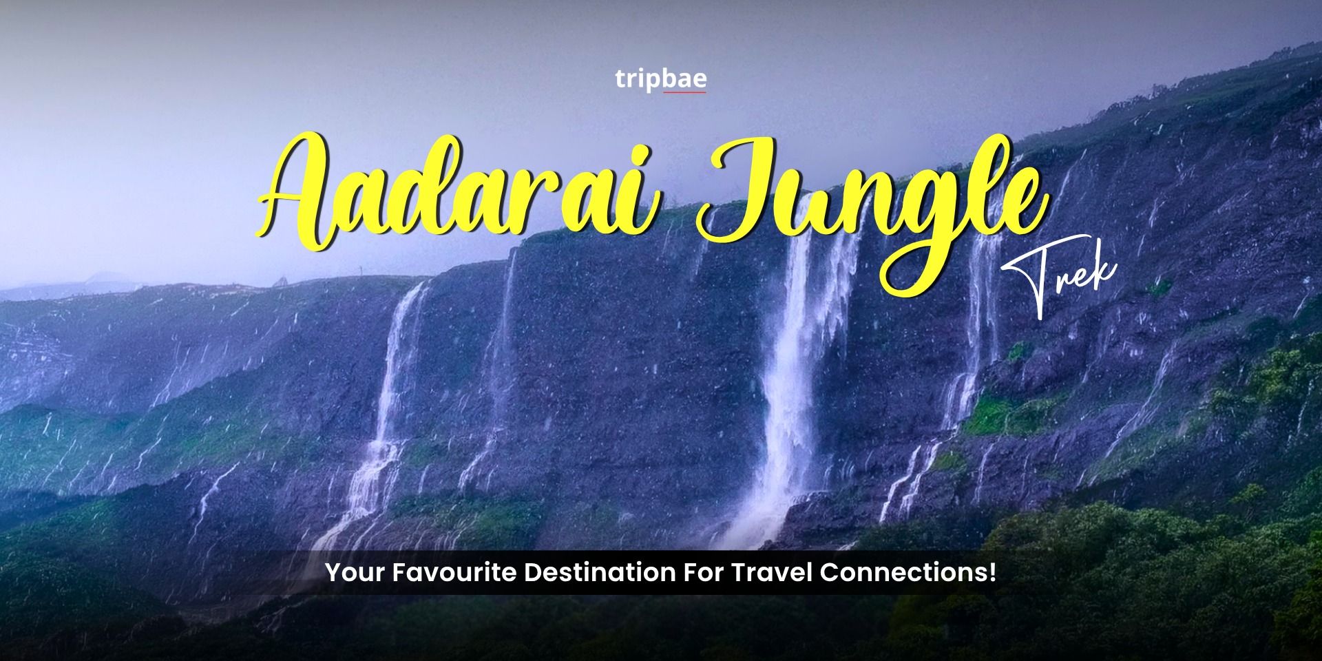 media-desktop-aadrai-jungle-trek-by-tripbae-0-2026-9-3-t-11-59-56.jpg