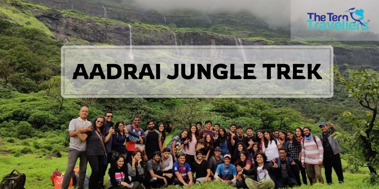media-desktop-aadrai-jungle-trek-tern-travellers-0-2025-7-9-t-4-21-40.jpg