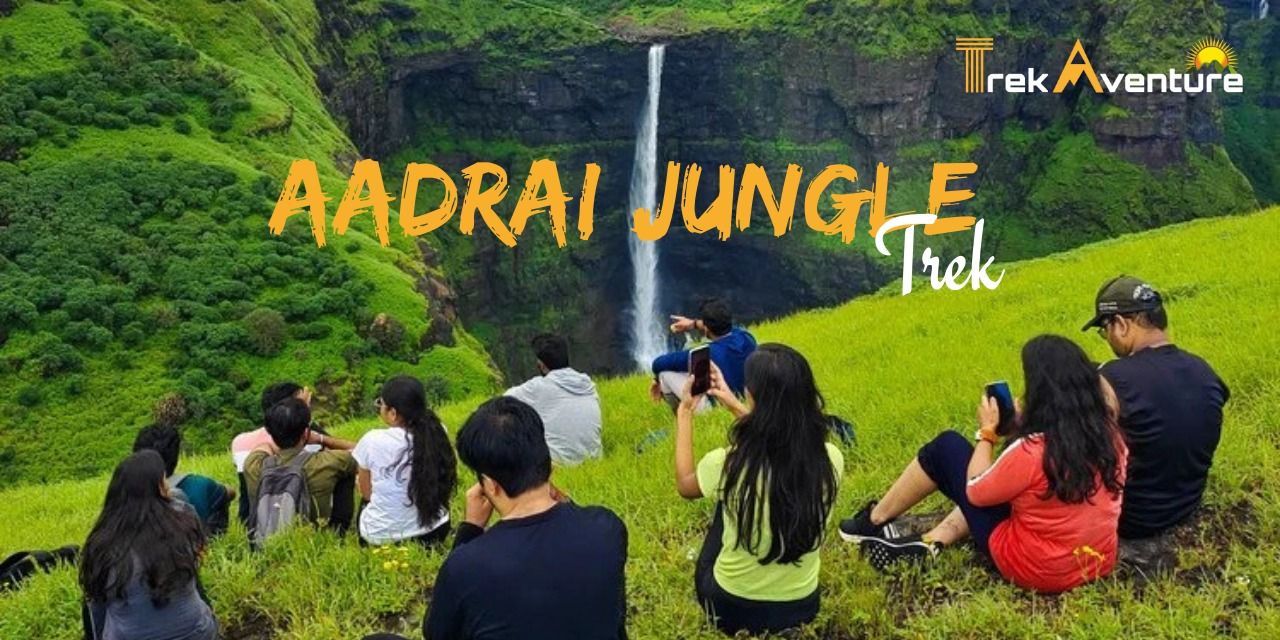 media-desktop-aadrai-jungle-trek-trekaventure-0-2025-9-2-t-10-39-16.jpg
