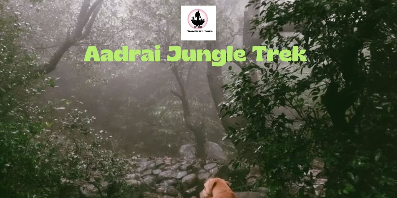 media-desktop-aadrai-jungle-trek-wanderera-tours-0-2026-7-7-t-11-20-18.jpg