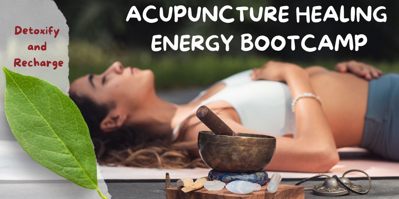 media-desktop-acupuncture-healing-energy-bootcamp-0-2024-12-10-t-10-38-23.jpg