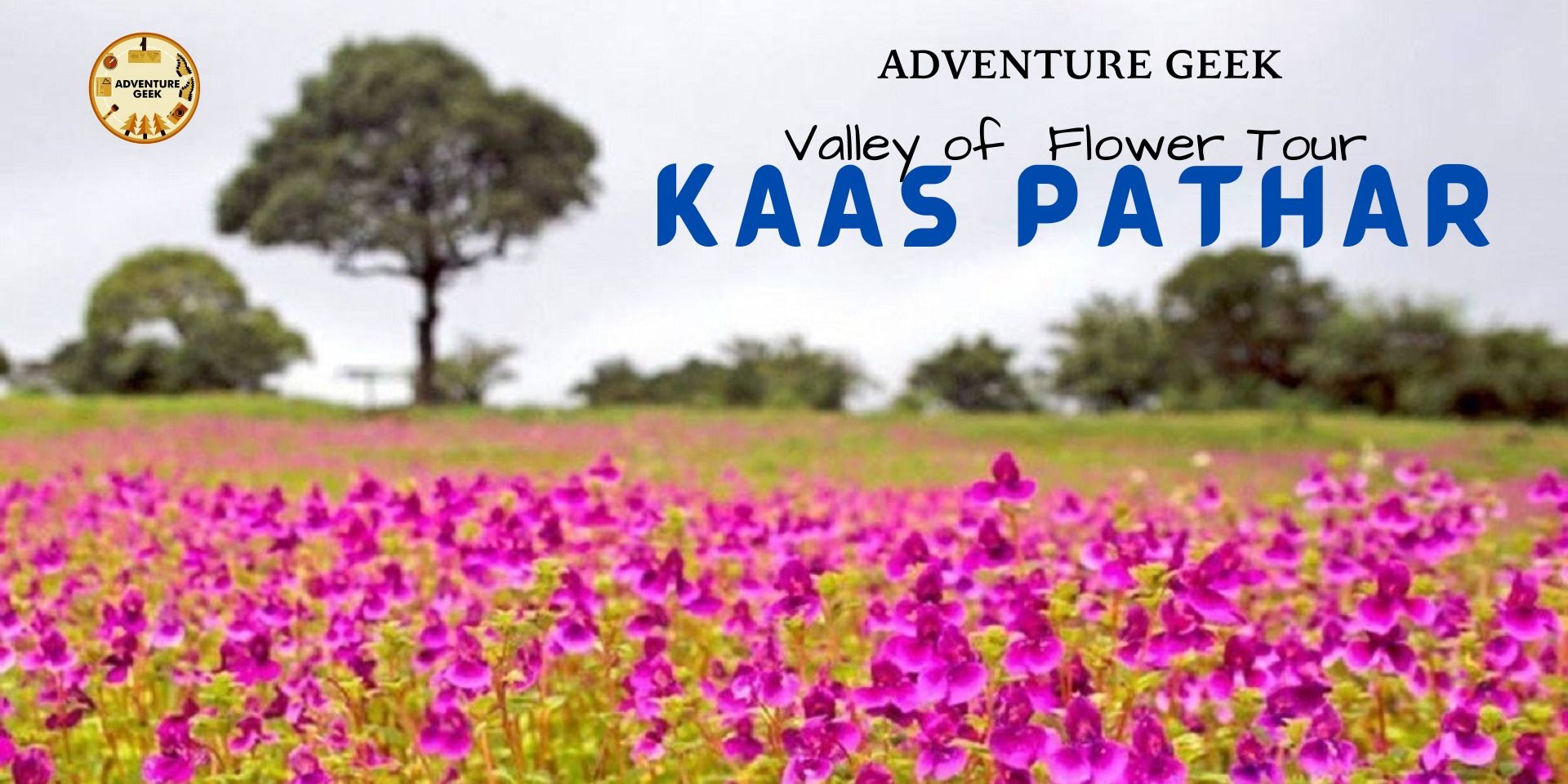 media-desktop-adventure-geek-kaas-pathar-valley-of-flowers-0-2022-8-30-t-15-56-46.jpg