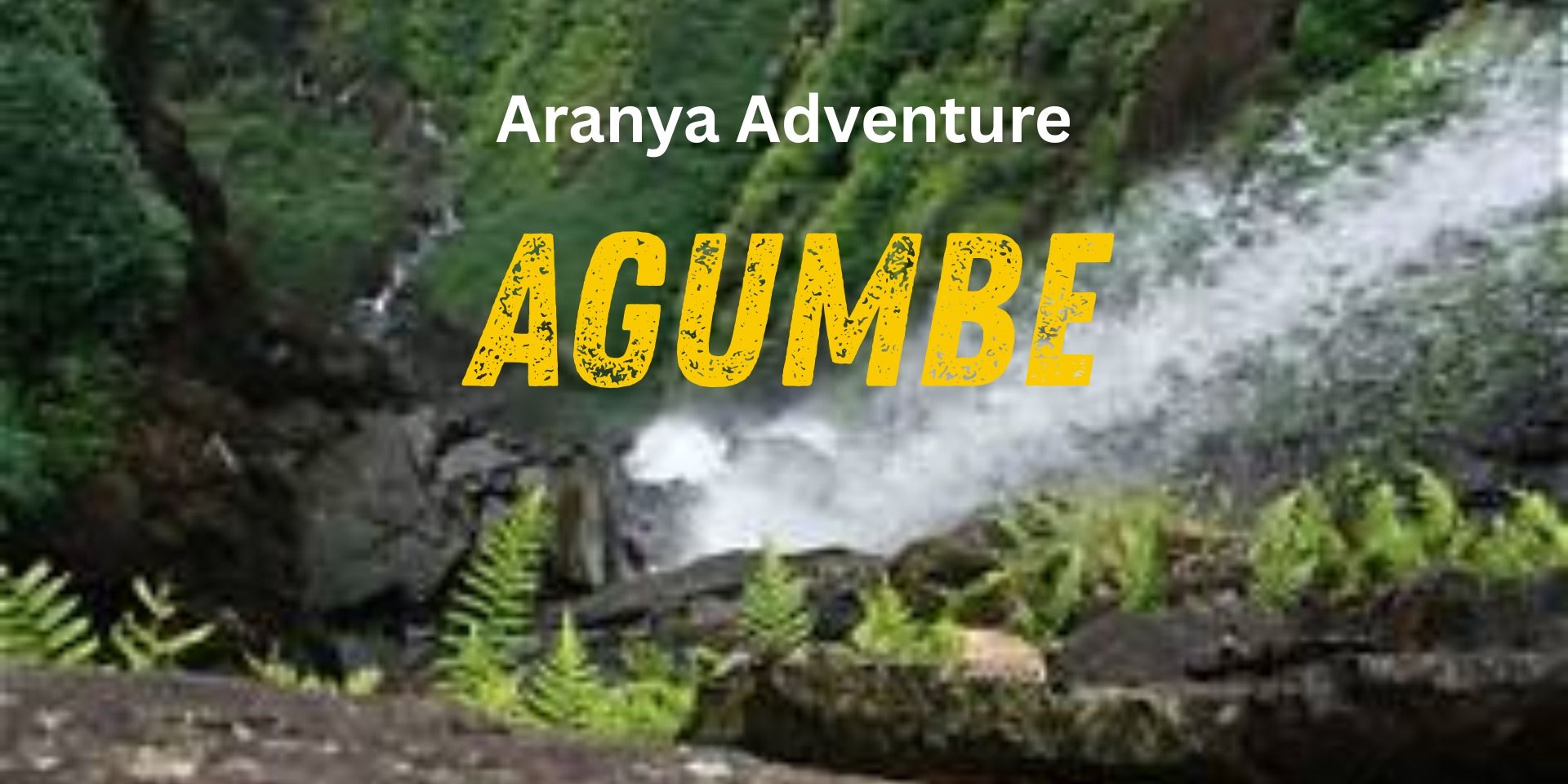Agumbe trip from Bangalore in Bengaluru