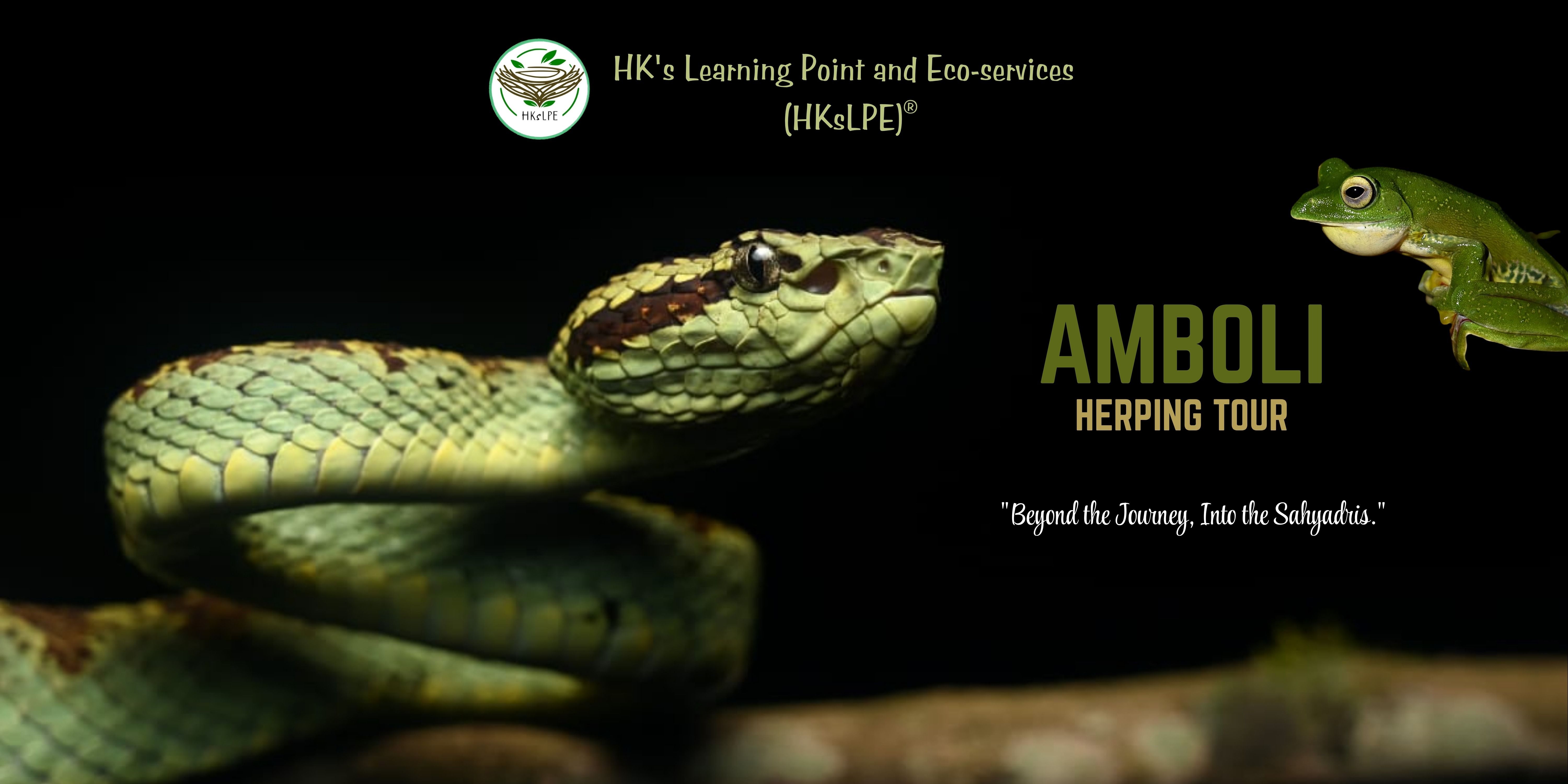media-desktop-amboli-herping-camp-a-monsoon-wildlife-expeditio-0-2026-7-5-t-8-36-58.jpg