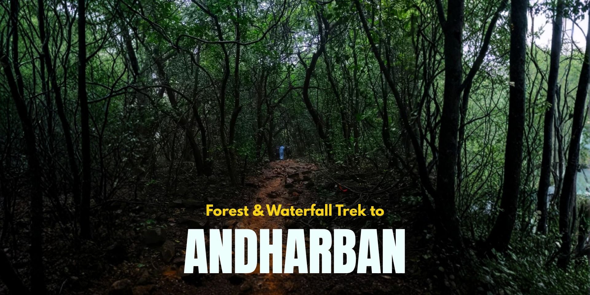 media-desktop-andharban-forest-trek-0-2026-6-17-t-6-43-2.jpg