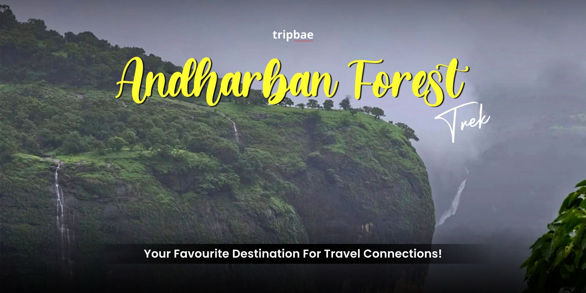 media-desktop-andharban-forest-trek-by-tripbae-0-2026-9-3-t-11-58-45.jpg