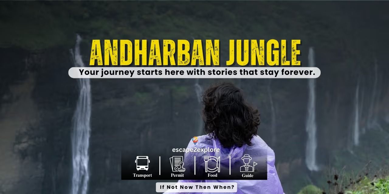 media-desktop-andharban-jungle-trek-0-2026-8-7-t-10-45-2.jpg