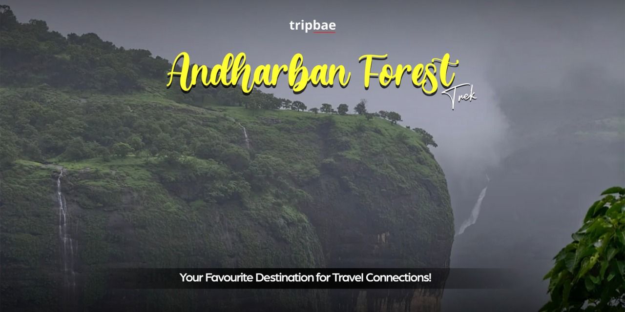 media-desktop-andharban-trek-by-tripbae-0-2026-5-27-t-12-28-2.jpg