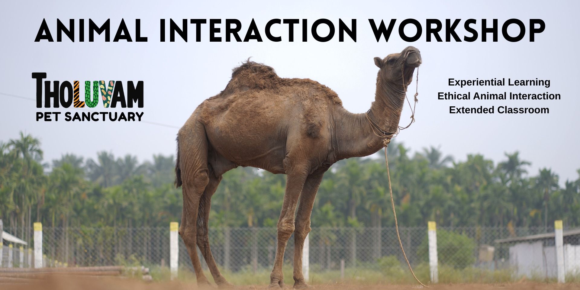 media-desktop-animal-handling-workshop-0-2026-8-18-t-21-57-26.jpg