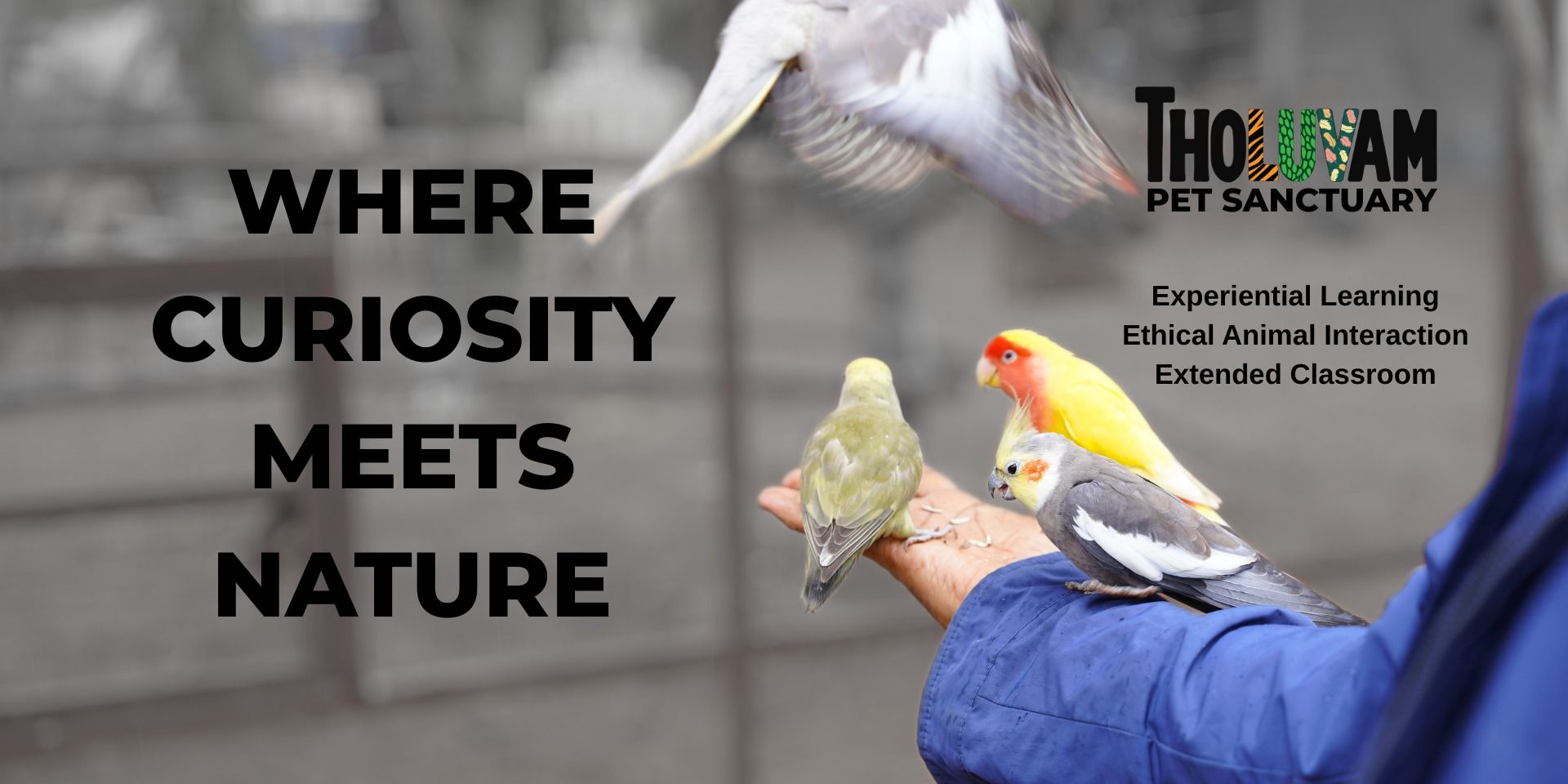 media-desktop-animal-handling-workshop-2-2026-8-18-t-21-57-27.jpg