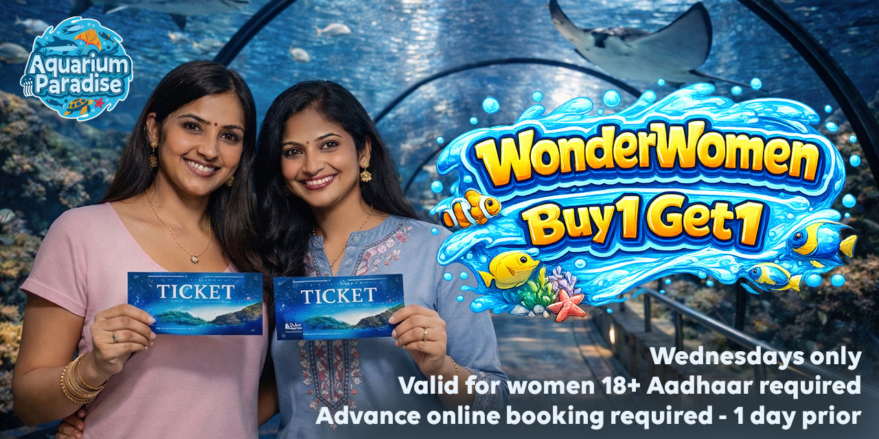 media-desktop-aquarium-paradise-bangalore-1-2026-6-30-t-10-24-25.jpg