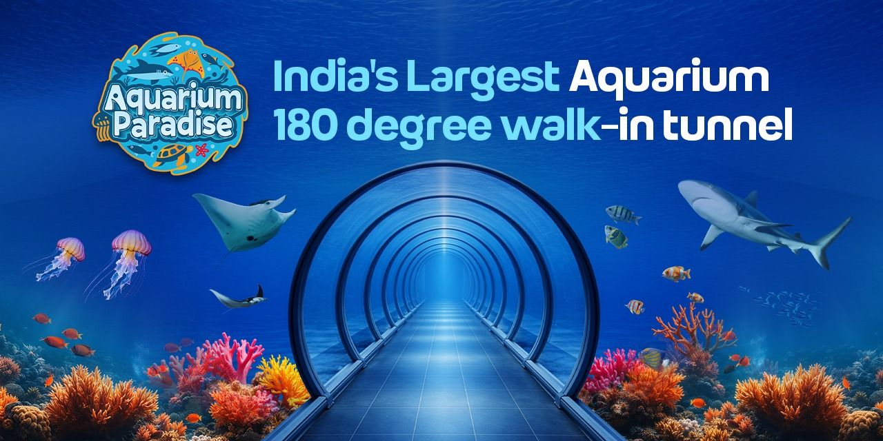 media-desktop-aquarium-paradise-bangalore-2-2026-6-30-t-10-24-25.jpg