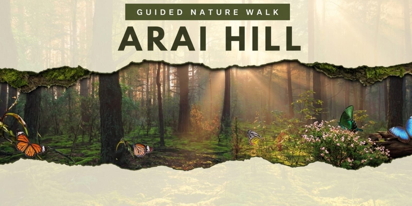 media-desktop-arai-hill-nature-trail-0-2026-5-20-t-8-22-40.jpg
