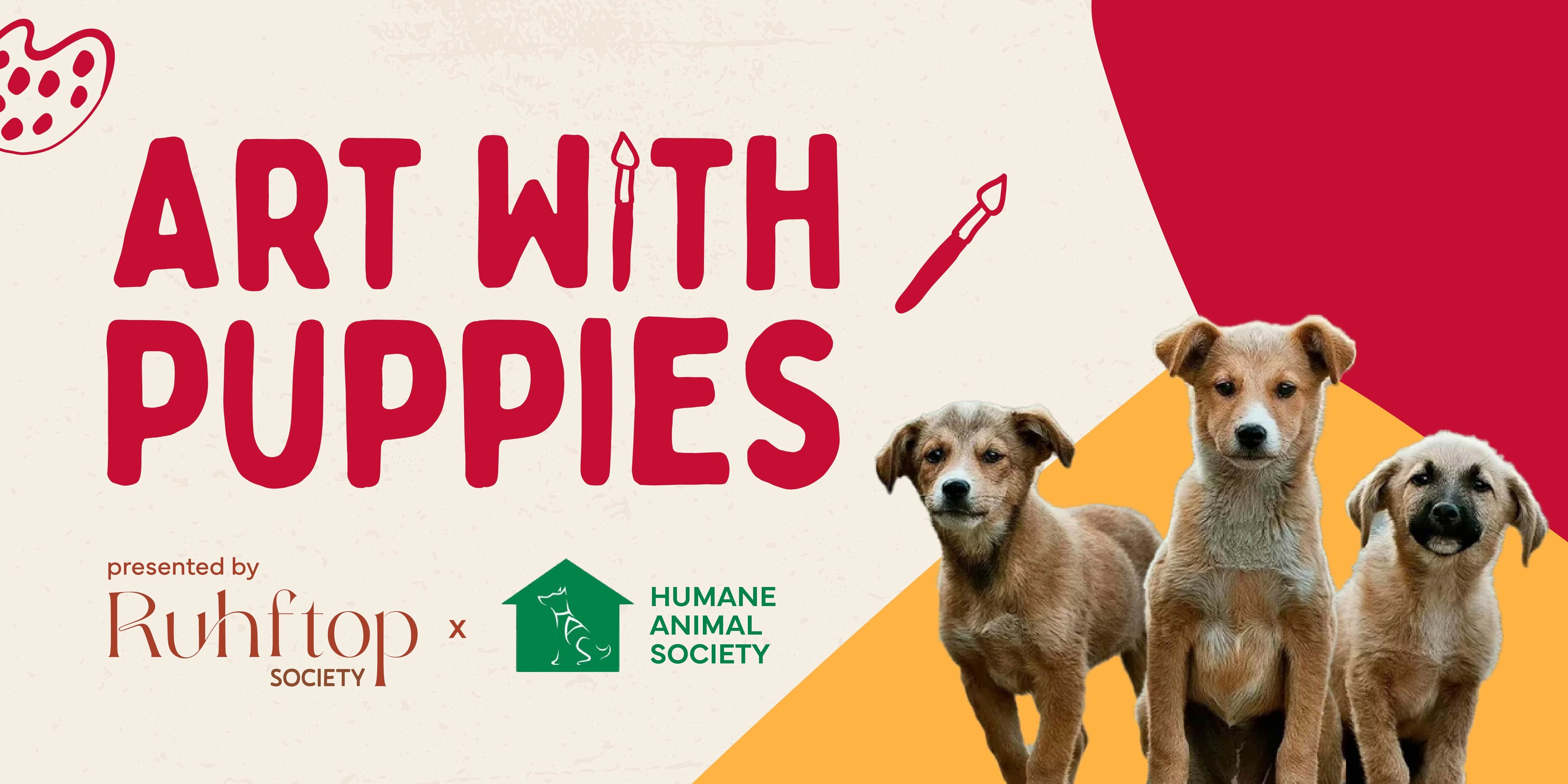 media-desktop-art-with-puppies-at-coimbatore-0-2024-11-30-t-11-38-22.jpg