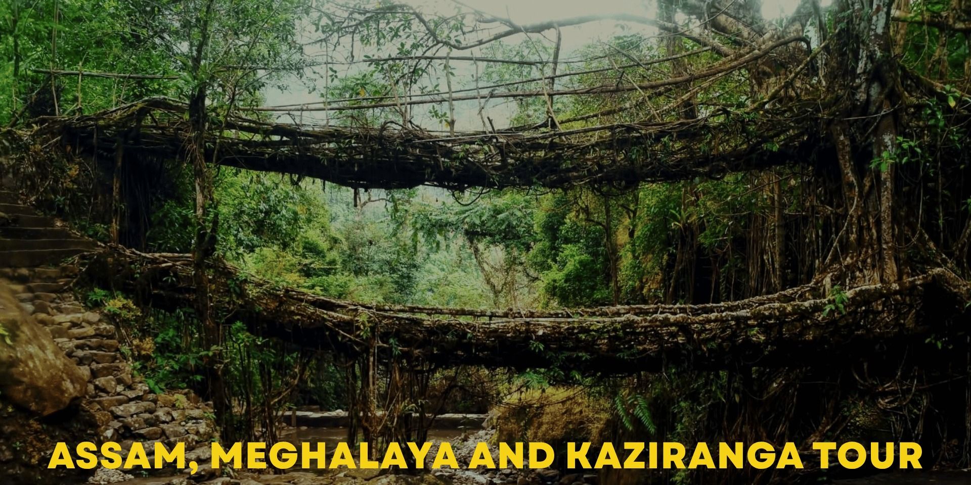 Assam, Meghalaya and Kaziranga Tour