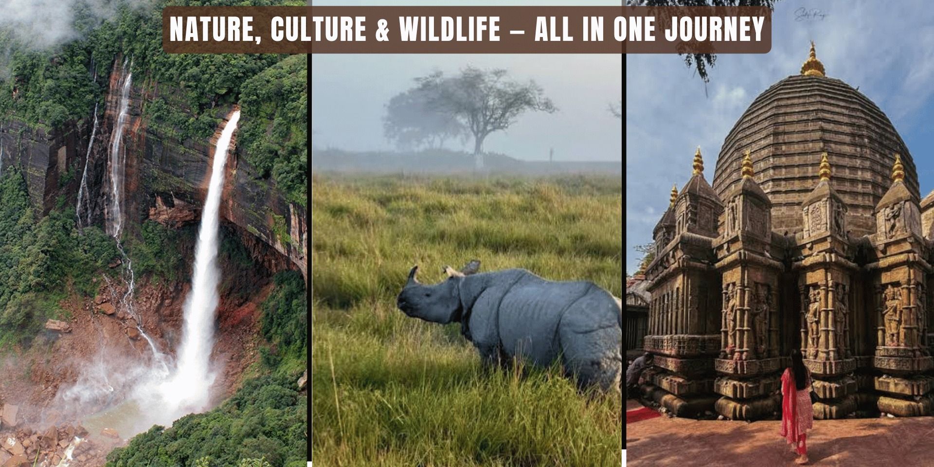 media-desktop-assam-meghalaya-and-kaziranga-tour-1-2026-8-29-t-12-51-43.jpg
