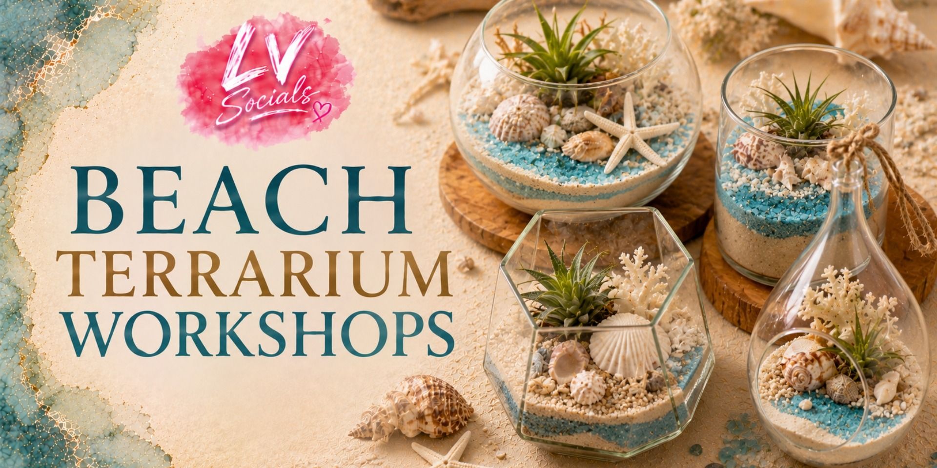 media-desktop-beach-terrarium-workshop-0-2026-6-26-t-13-41-13.jpg