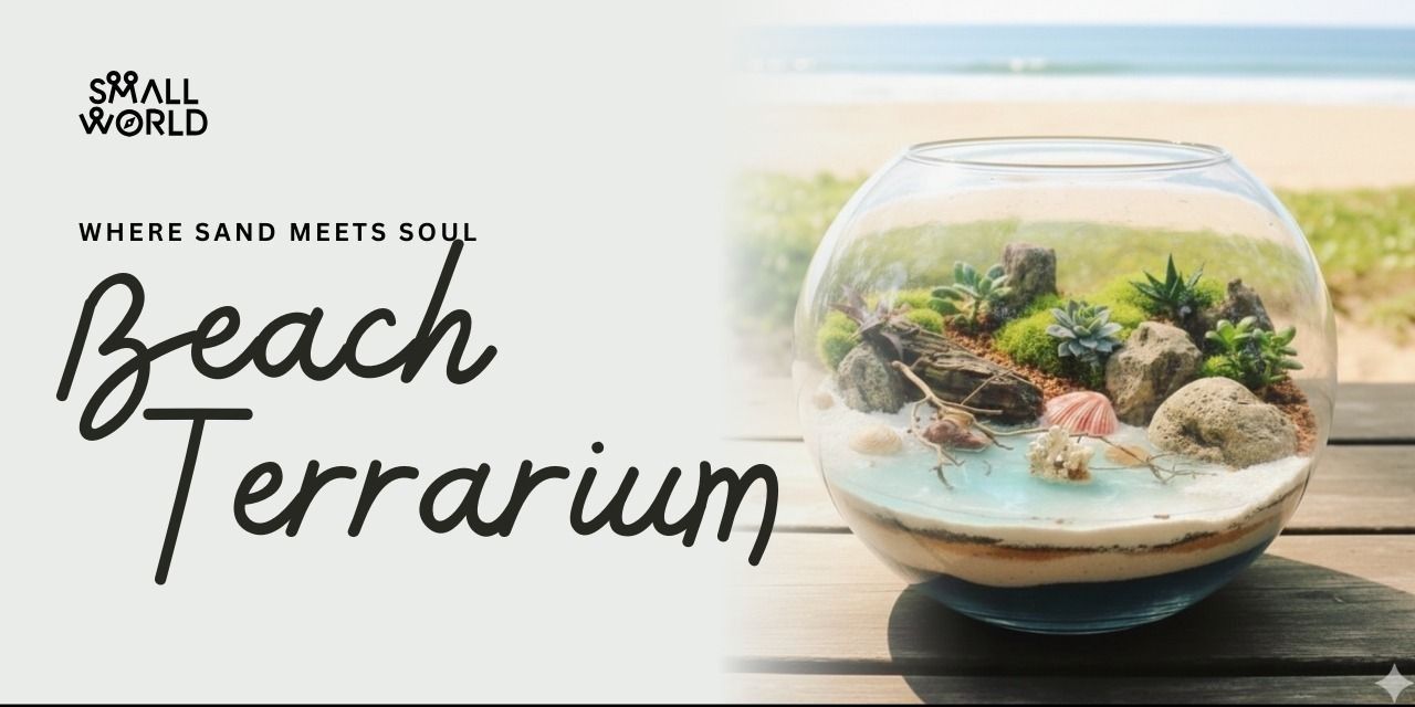 media-desktop-beach-terrarium-workshop-0-2026-8-11-t-22-28-10.jpg